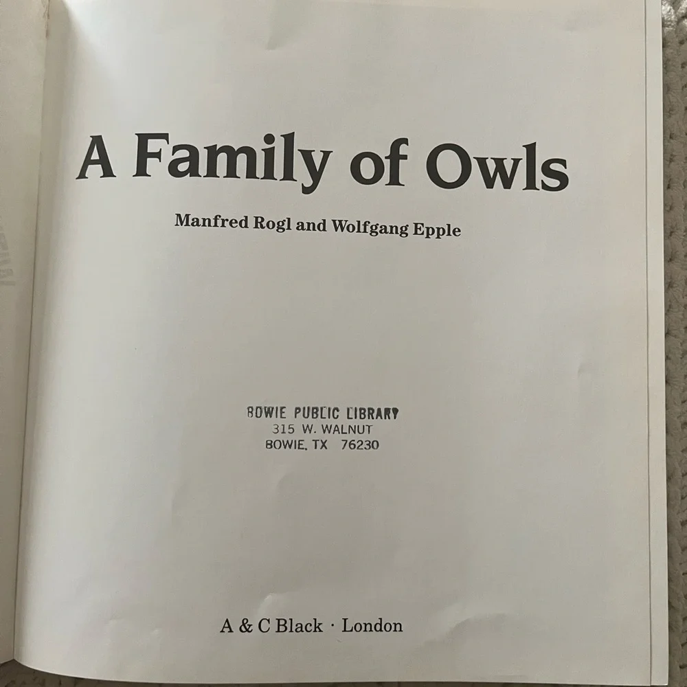 🦉”A Family of Owls” Vintage Children’s Picture Book with Color Photographs🦉 - Picture 2 of 15
